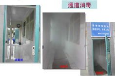 人员通道消毒系统