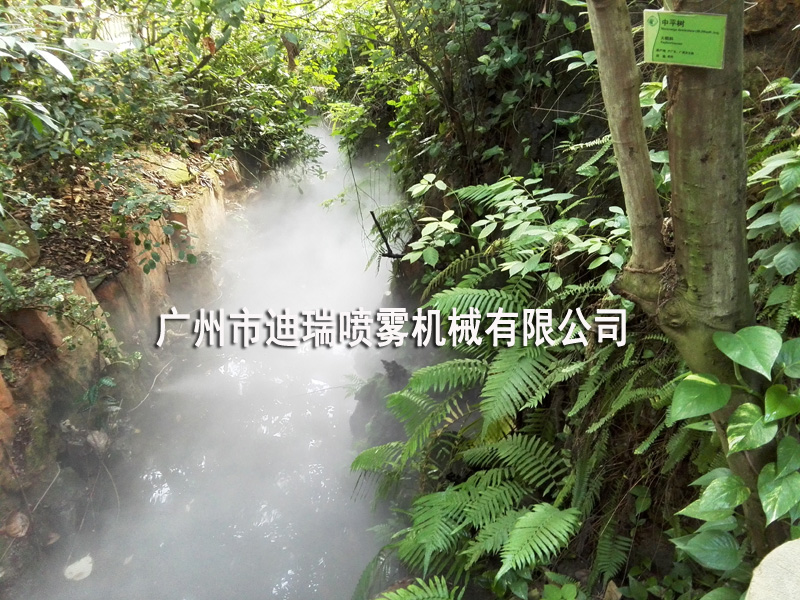 雾森系统