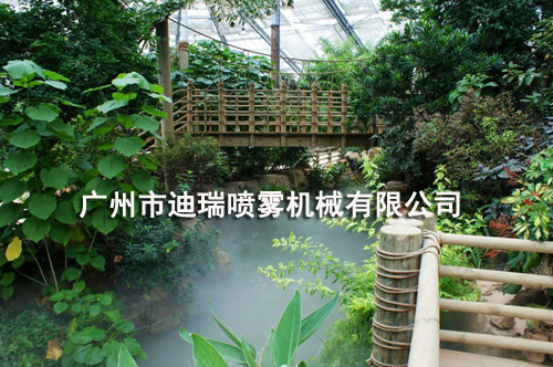 雾森系统