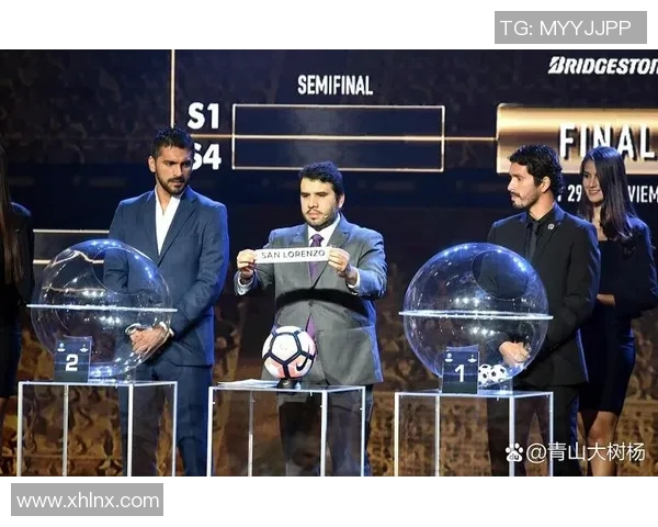 欧洲杯比赛即将开战,球迷热情高涨——球迷们的夏季狂欢